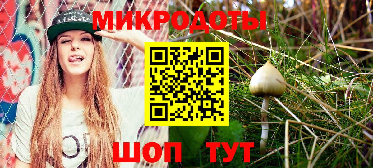 Галлюциногенные грибы мицелий Избербаш