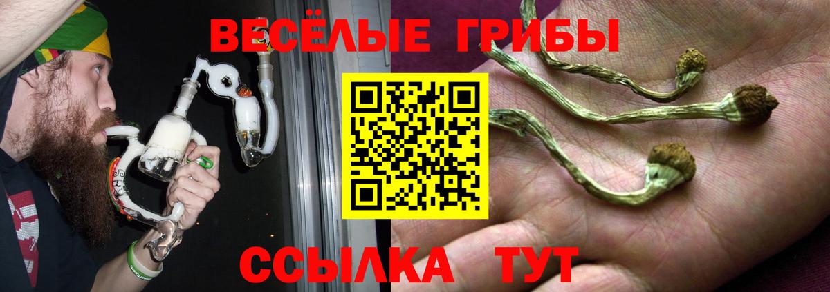 Галлюциногенные грибы мухоморы  Вход с VPN  Галлюциногенные грибы мицелий  продажа наркотиков  Избербаш 